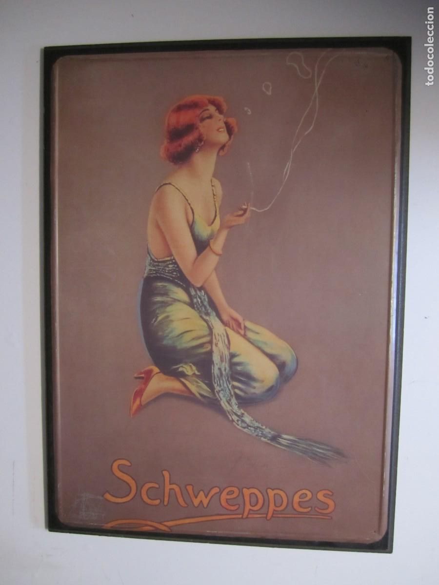 Coleccionismo de cervezas: cuadro chapa madera schweppes vintage - Foto 1