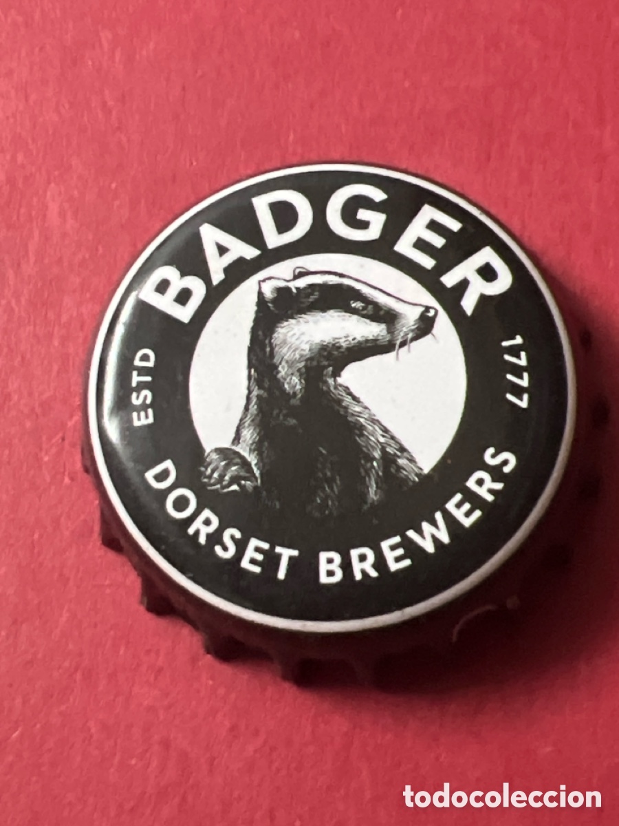 Coleccionismo de cervezas: T4/X15/N5. CHAPA CERVEZA - BADGER - REINO UNIDO