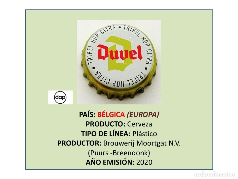 Coleccionismo de cervezas: TAPON CORONA CAPSULA CHAPA CERVEZA DUVEL TRIPEL (B&Eacute;LGICA)