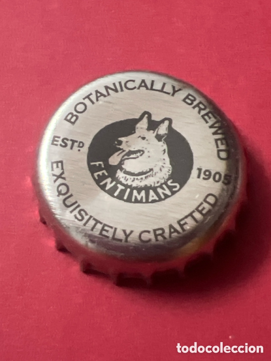 Coleccionismo de cervezas: H287. Chapa de cerveza - Botanically Brewed Crown Cap Beer Bottle Veneer Kronkorken