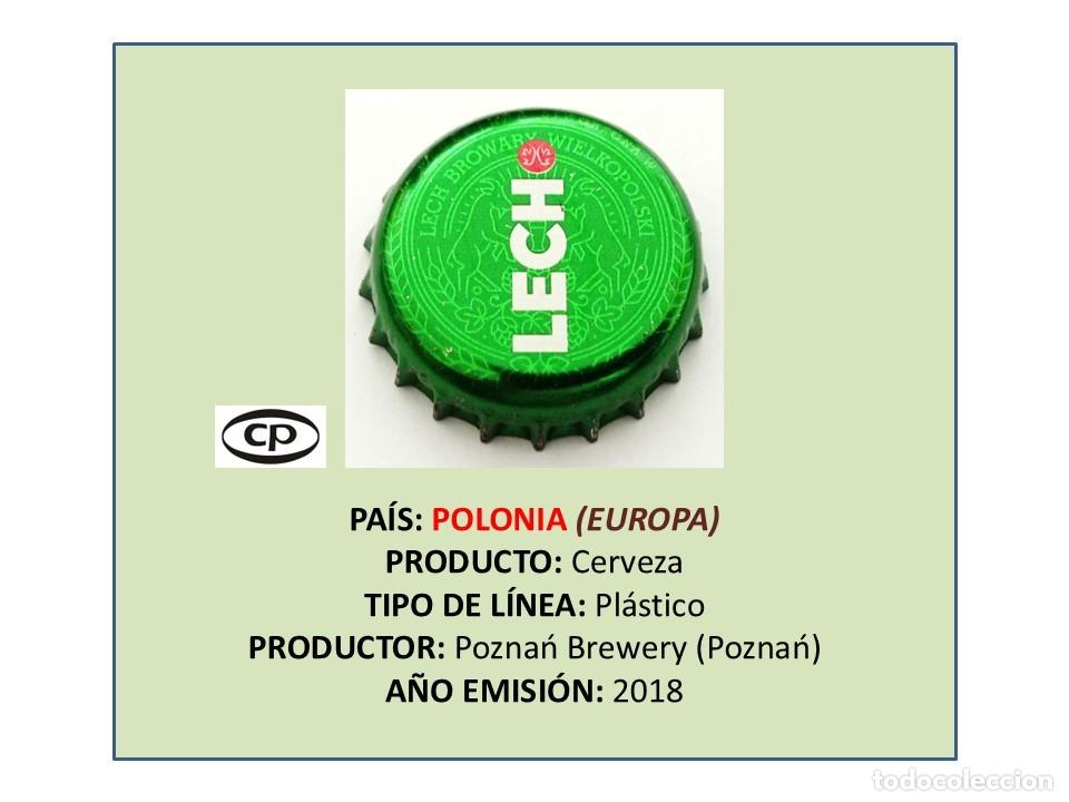 Coleccionismo de cervezas: TAPON CORONA CAPSULA CHAPA CERVEZA LECH (POLONIA)