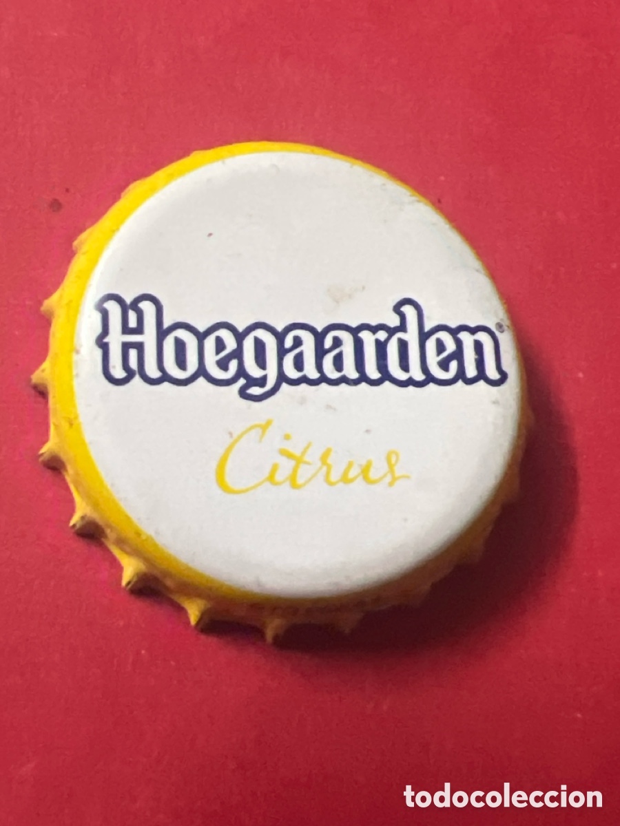 Coleccionismo de cervezas: T4/X58/N4. CHAPA CERVEZA - Hoegaarden Citrus