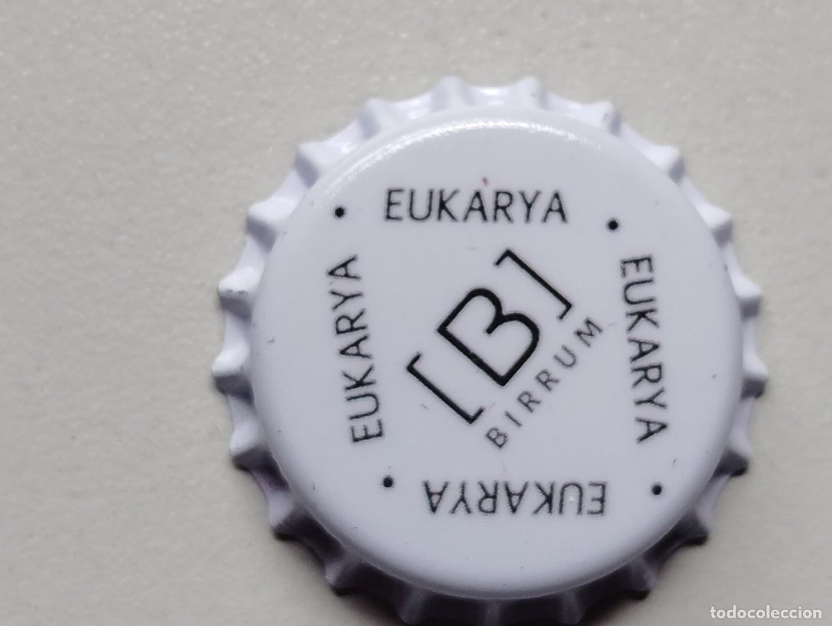 Coleccionismo de cervezas: TAPON CORONA CERVEZA ESPA&Ntilde;A ARTESANA BIRRUM . NUEVO