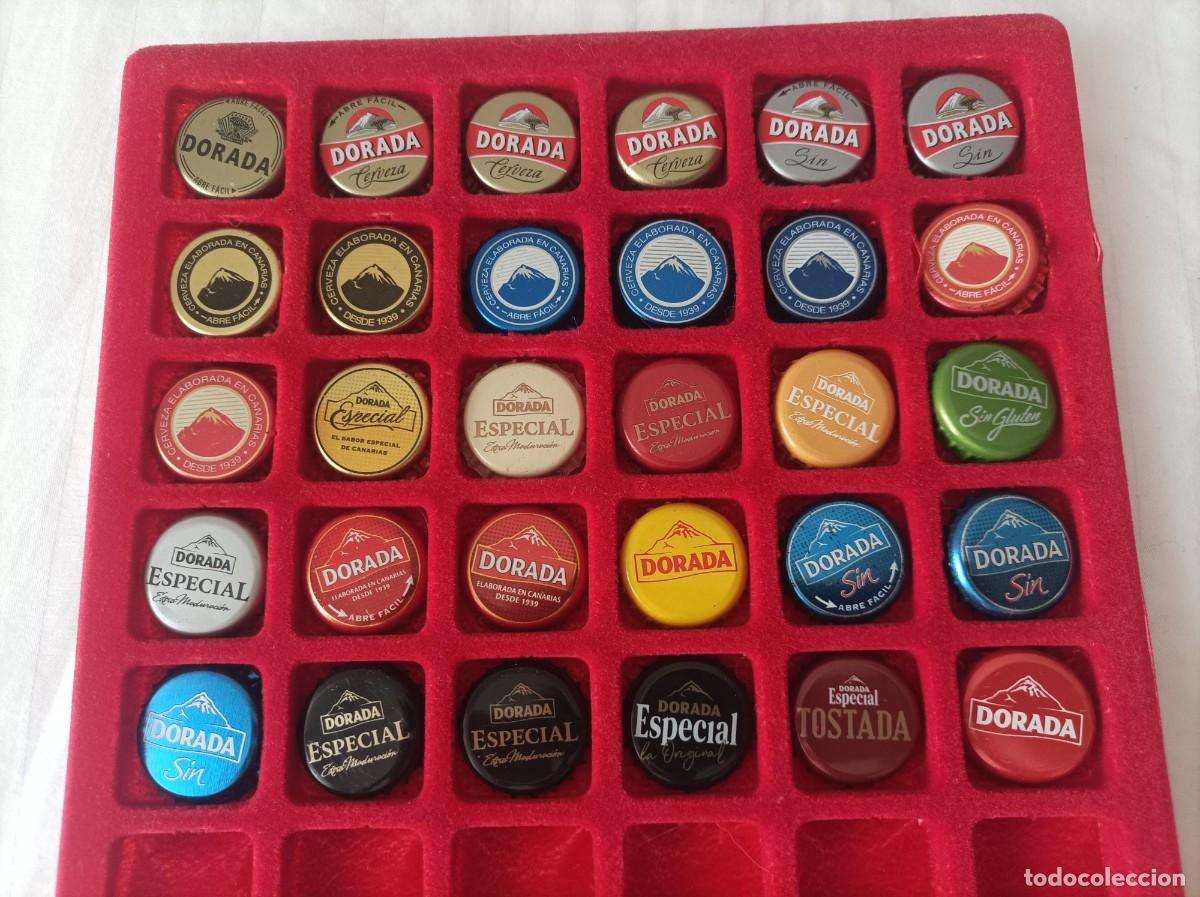 Sammeln von Brauereiartikeln: Chapas tapon corona cerveza Dorada Canarias