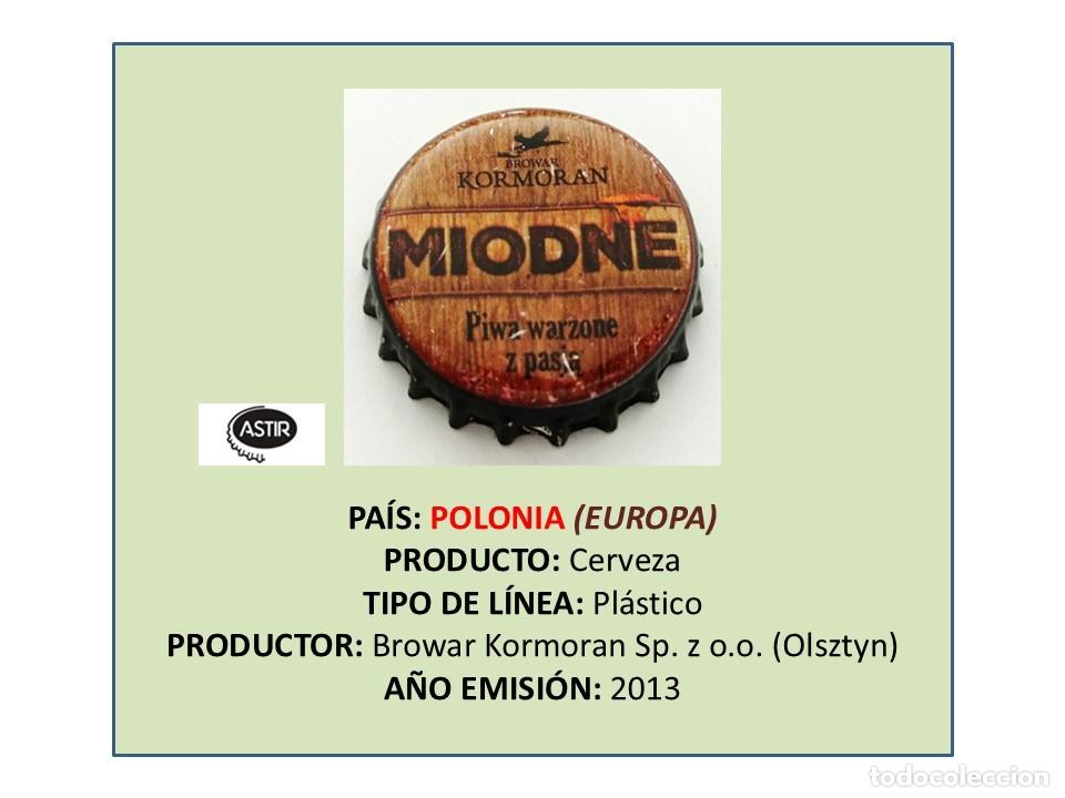 Coleccionismo de cervezas: TAPON CORONA CAPSULA CHAPA CERVEZA KORMORAN MIODNE (POLONIA)