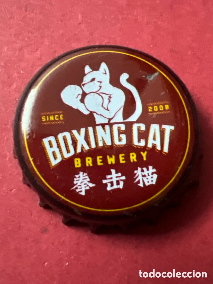 Coleccionismo de cervezas: T4/X62/C4. CHAPA CERVEZA - Boxing cat Brewery since 2008