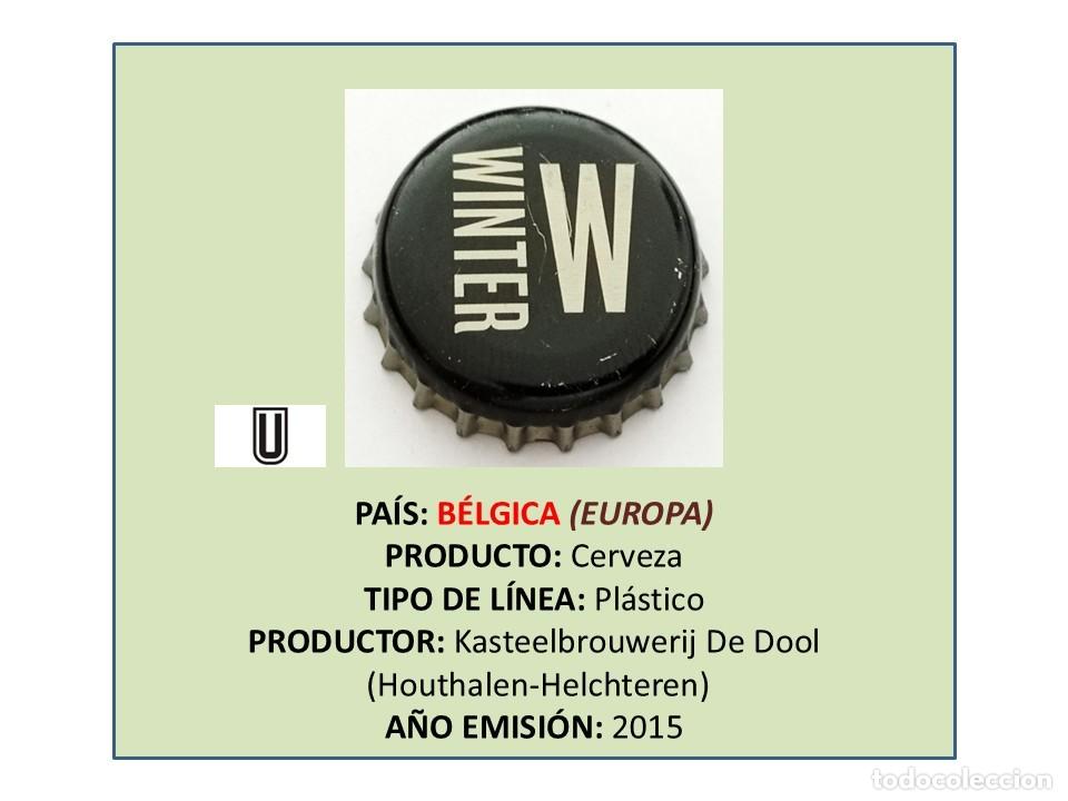 Coleccionismo de cervezas: TAPON CORONA CAPSULA CHAPA CERVEZA WINTER (B&Eacute;LGICA)