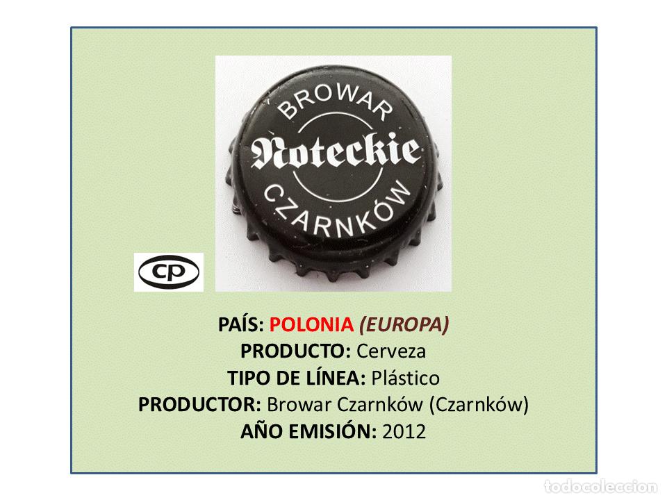 Coleccionismo de cervezas: TAPON CORONA CAPSULA CHAPA CERVEZA ROTECKIE (POLONIA)