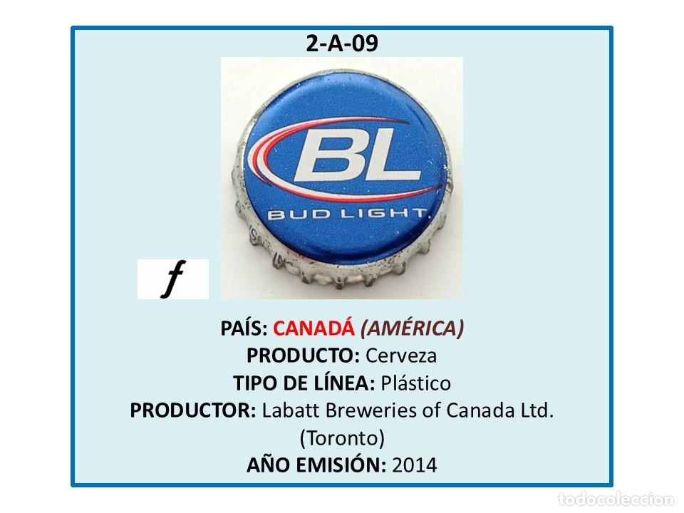 Coleccionismo de cervezas: TAPON CORONA CAPSULA CHAPA CERVEZA BUD LIGHT (CANAD&Aacute;)