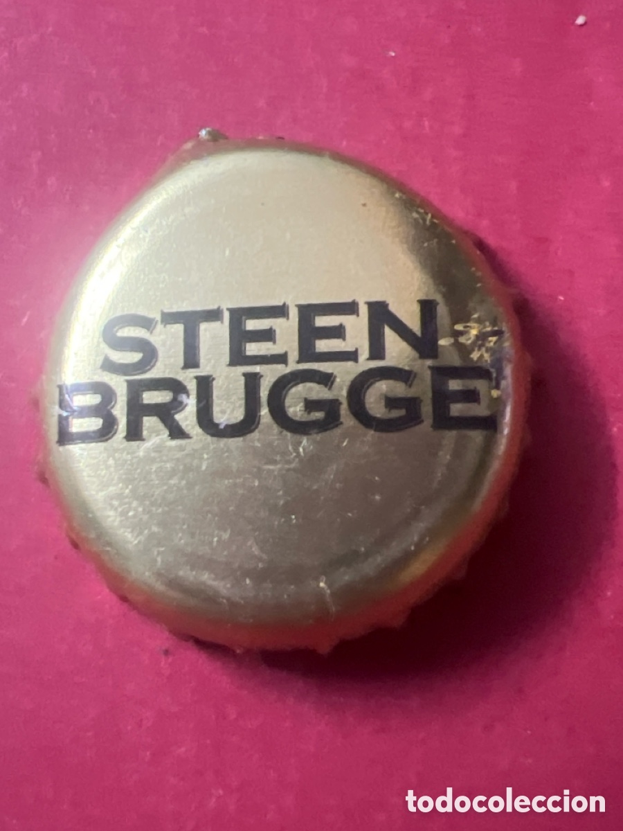 Coleccionismo de cervezas: T4/X83/F5. CHAPA CERVEZA - Steen Brugge - B&Eacute;LGICA