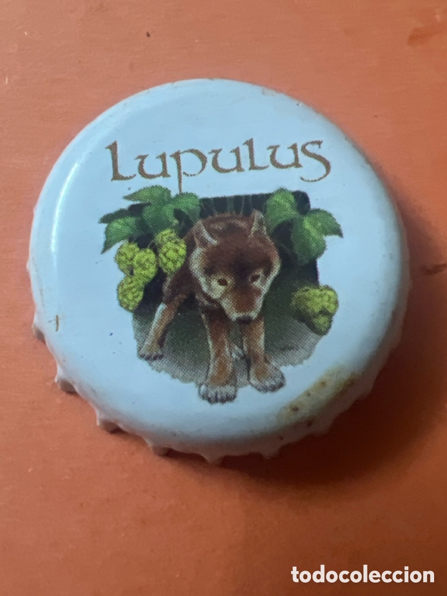 Coleccionismo de cervezas: T4/X85/B3. TAPON CORONA CAPSULA CHAPA CERVEZA LUPULUS (B&Eacute;LGICA)