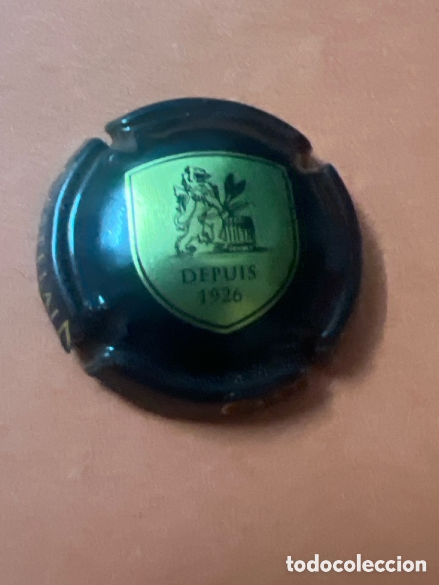 Coleccionismo de cervezas: T4/X96/H6. CHAPA CERVEZA - FRANCE - CASTELAIN