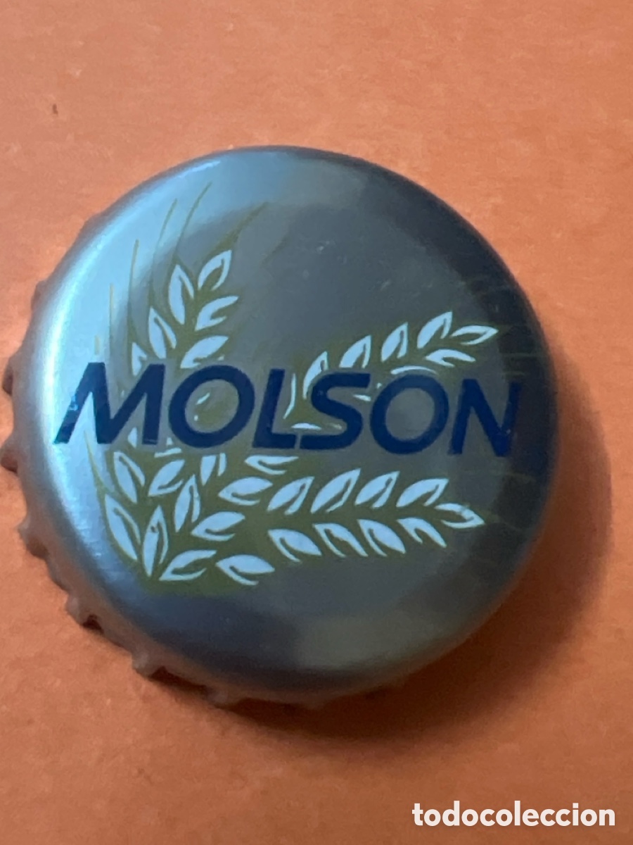 Coleccionismo de cervezas: T4/X110/E1. CHAPA CERVEZA - Molson - CANAD&Aacute;