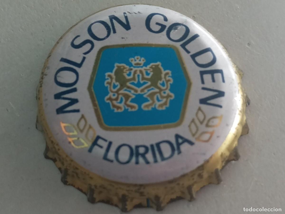Coleccionismo de cervezas: Chapa tap&oacute;n corona de la cerveza canadiense MOLSON GOLDEN - FLORIDA