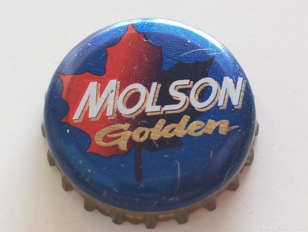 Coleccionismo de cervezas: Chapa tap&oacute;n corona de la cerveza canadiense MOLSON GOLDEN