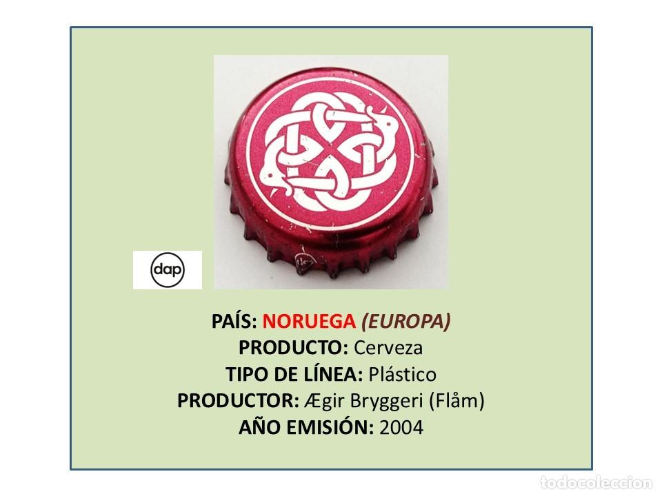 Coleccionismo de cervezas: TAPON CORONA CAPSULA CHAPA CERVEZA AEGIR (NORUEGA)