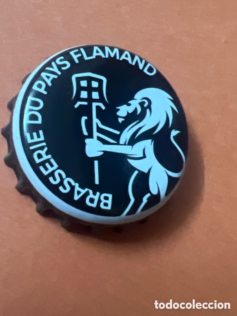 Coleccionismo de cervezas: T4/X102/M1. CHAPA CERVEZA - FRANCIA - brasserie du pays flamand