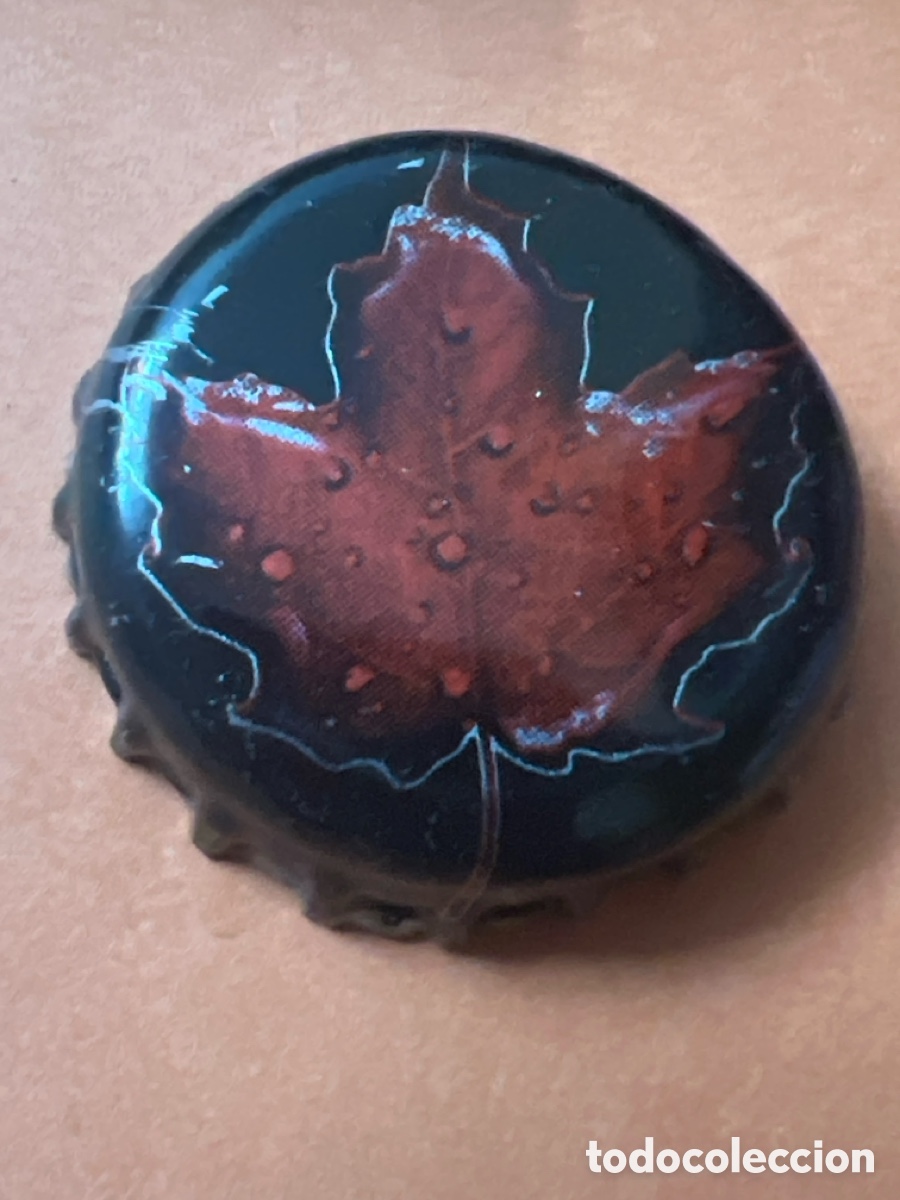 Coleccionismo de cervezas: T4/X120/D1. CHAPA CERVEZA - Molson Breweries / Molson's Brewery Ltd. - CANAD&Aacute;