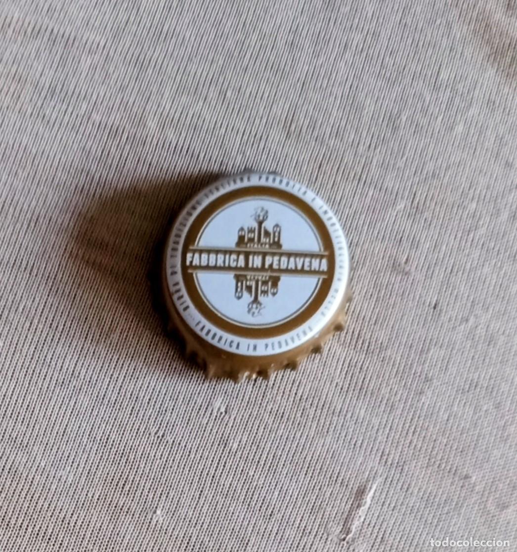 Coleccionismo de cervezas: Chapa corona de cerveza Pedavena