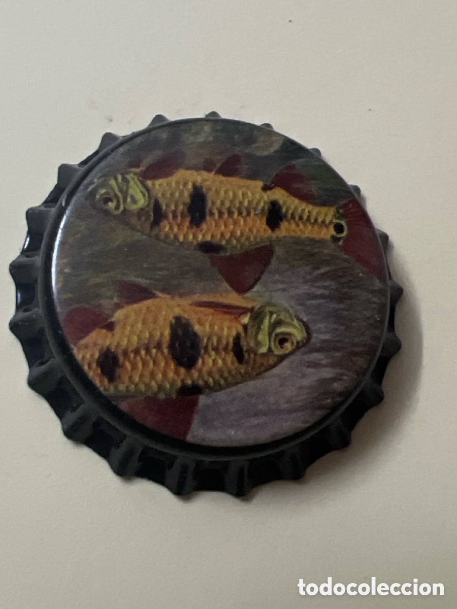Coleccionismo de cervezas: T4/X117/O3. CHAPA DE CERVEZA - BEER BOTTLE CAPS - CAPSULE DE BIERE - Bierflasche - Birra