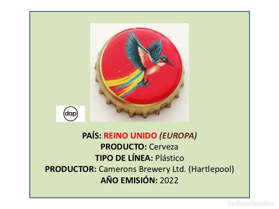 Coleccionismo de cervezas: TAPON CORONA CAPSULA CHAPA CERVEZA KINGFISHER (REINO UNIDO)