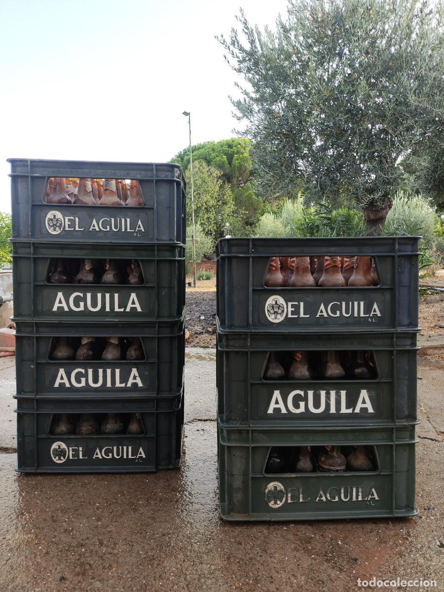 Coleccionismo de cervezas: LOTE 6 CAJAS CERVEZA EL &Aacute;GUILA CON BOTELLINES ORIGINALES &ndash; COLECCIONISMO BREWERIANA