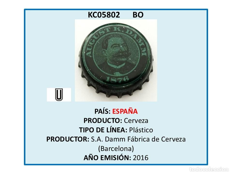 Coleccionismo de cervezas: TAPON CORONA CAPSULA CHAPA CERVEZA AUGUST K. DAMM (ESPA&Ntilde;A)