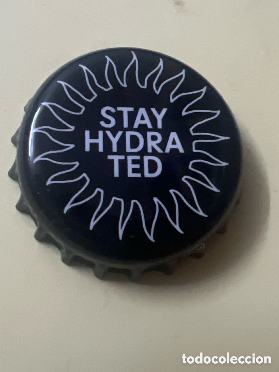 Coleccionismo de cervezas: T4/X114/H1. CHAPA CERVEZA - stay hydra ted hydrated - FRANCIA