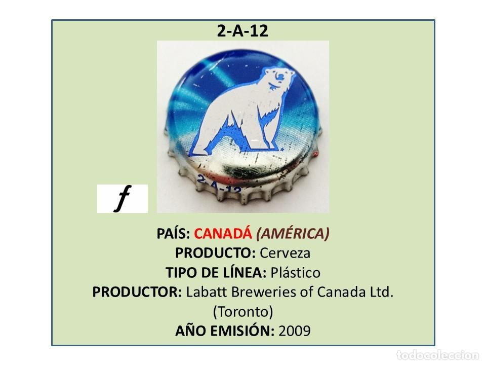 Coleccionismo de cervezas: TAPON CORONA CAPSULA CHAPA CERVEZA LABATT LITE (CANAD&Aacute;)