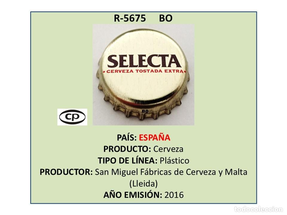 Coleccionismo de cervezas: TAPON CORONA CAPSULA CHAPA CERVEZA SAN MIGUEL SELECTA (ESPA&Ntilde;A)