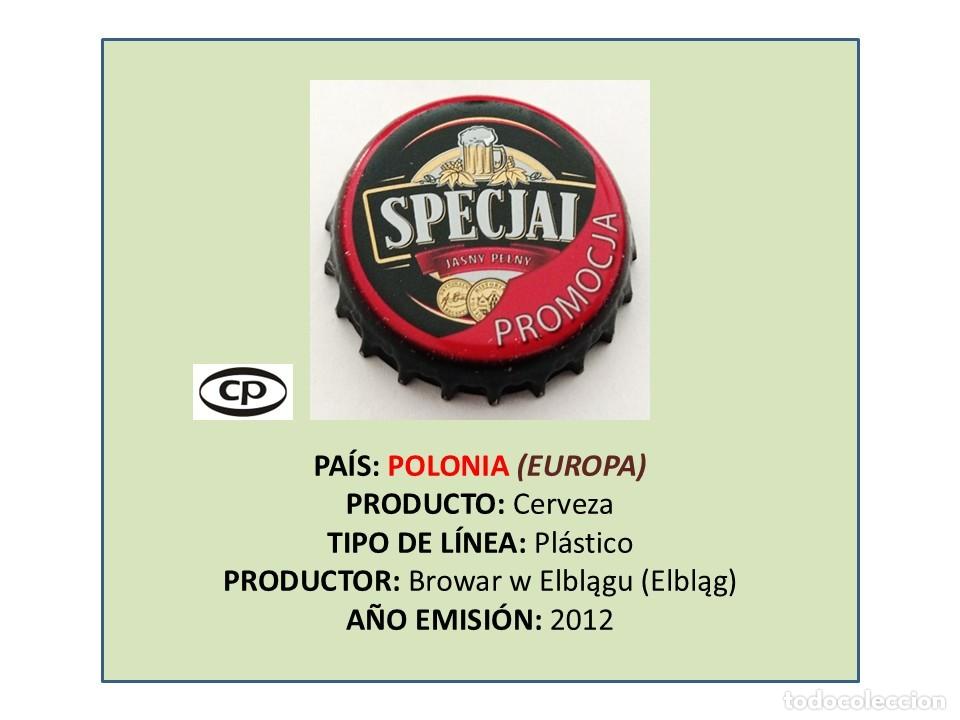 Coleccionismo de cervezas: TAPON CORONA CAPSULA CHAPA CERVEZA ZYWIEC SPECJAL (POLONIA)