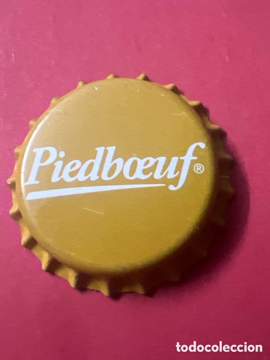 Coleccionismo de cervezas: E1146. CHAPA CERVEZA - SIN ABRIR