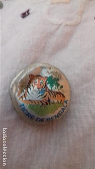 Collezionismo di Coca-Cola e Pepsi: antiguo tapon tapa metal de PepsiCo pepsi.mirinda.promoci&oacute;n animales .razas .tigre de bengala a&ntilde;os 7