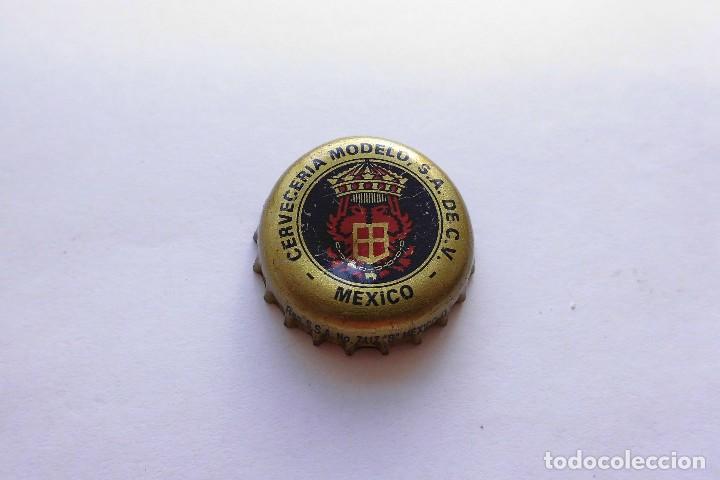 Collecting of Coca-Cola and Pepsi: Chapa antigua Cerveceria Modelo Mexico