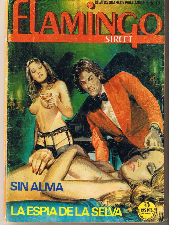 Comics: FLAMINGO STREET. N&ordm; 33. RELATOS GR&Aacute;FICOS PARA ADULTOS. SIN ALMA. C/A40)
