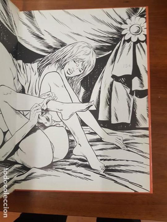 C&oacute;mics: LYDIA, ENFRANC&Eacute;S - Foto 3