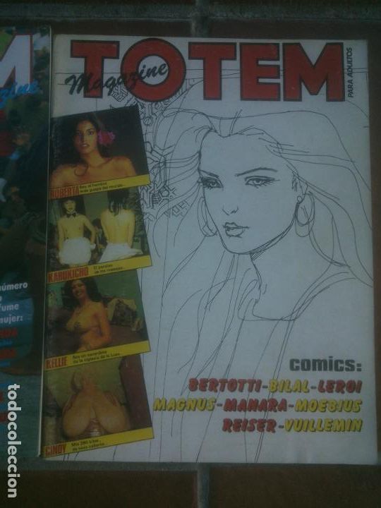C&oacute;mics: LOTE TOTEM - Foto 4