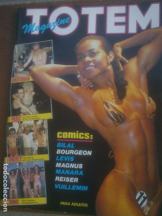 C&oacute;mics: LOTE TOTEM - Foto 2