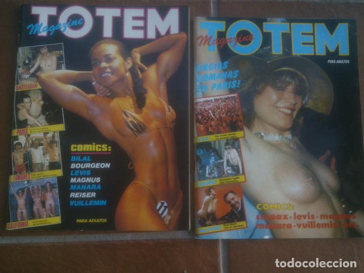 C&oacute;mics: LOTE TOTEM - Foto 1