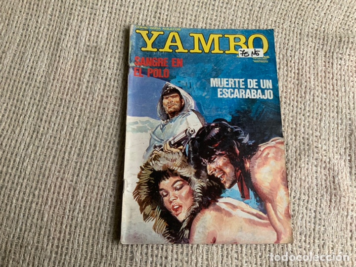 Comics: YAMBO N&ordm; 5 RELATOS GRAFICOS PARA ADULTOS, -ED. ZINCO