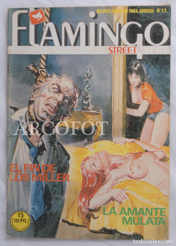 C&oacute;mics: FLAMINGO n&ordm; 43 - EDICIONES ZINCO 1988 - Foto 1