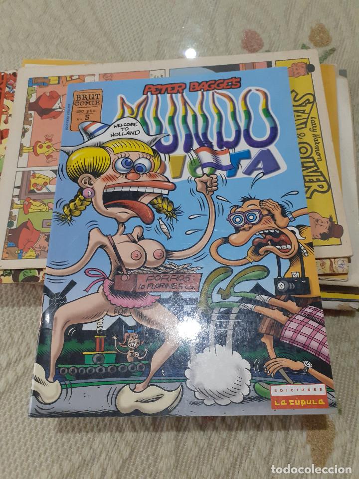 Comics: MUNDO IDIOTA - N&ordm; 5 - PETER BAGGE - BRUT COMIX - 1999 - LA CUPULA -