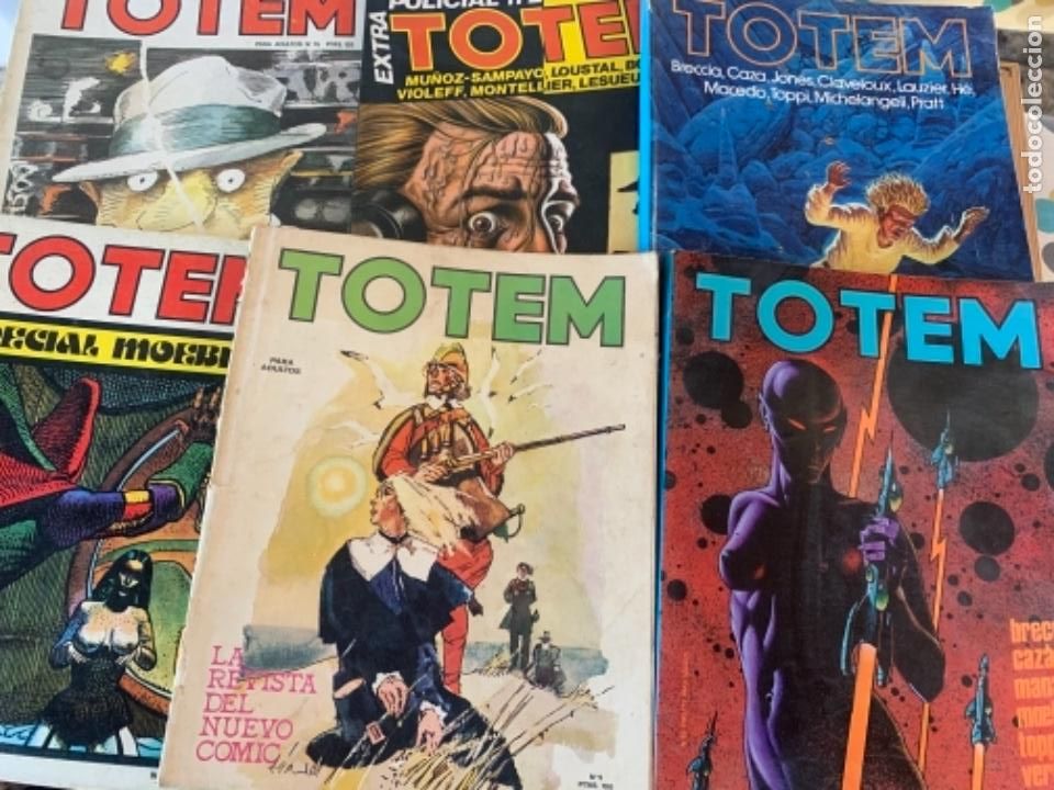 Comics: Lote de 16 revistas TOTEM