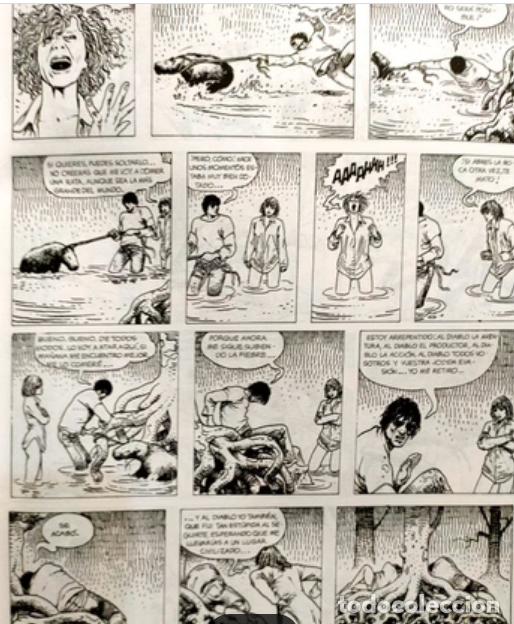 C&oacute;mics: Manara.obras completas n&ordm; 15 - Foto 6