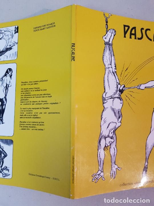 C&oacute;mics: PASCALINE (COLLECTION VERTIGES GRAPHIQUES) - Foto 3