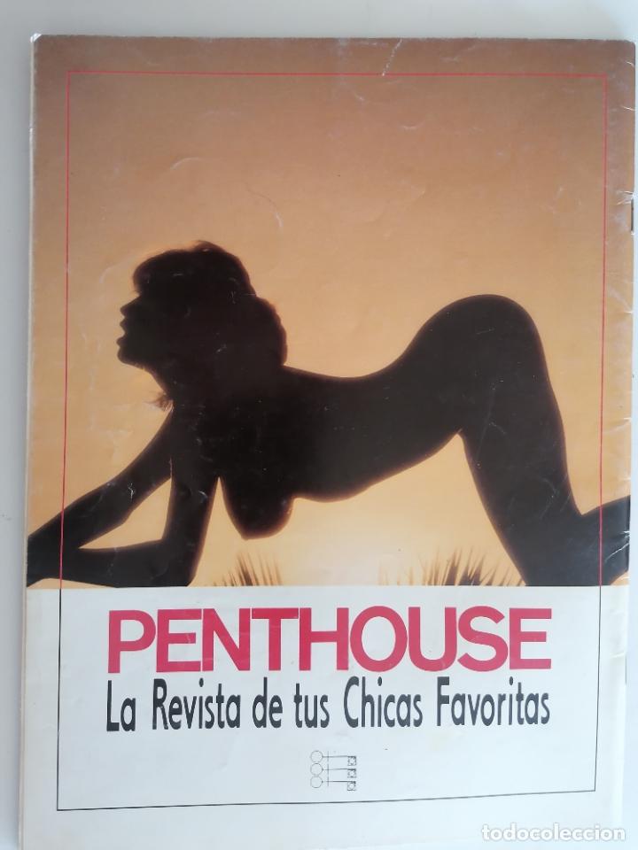 C&oacute;mics: PENTHOUSE COMIX N&ordm; 6 - Foto 2