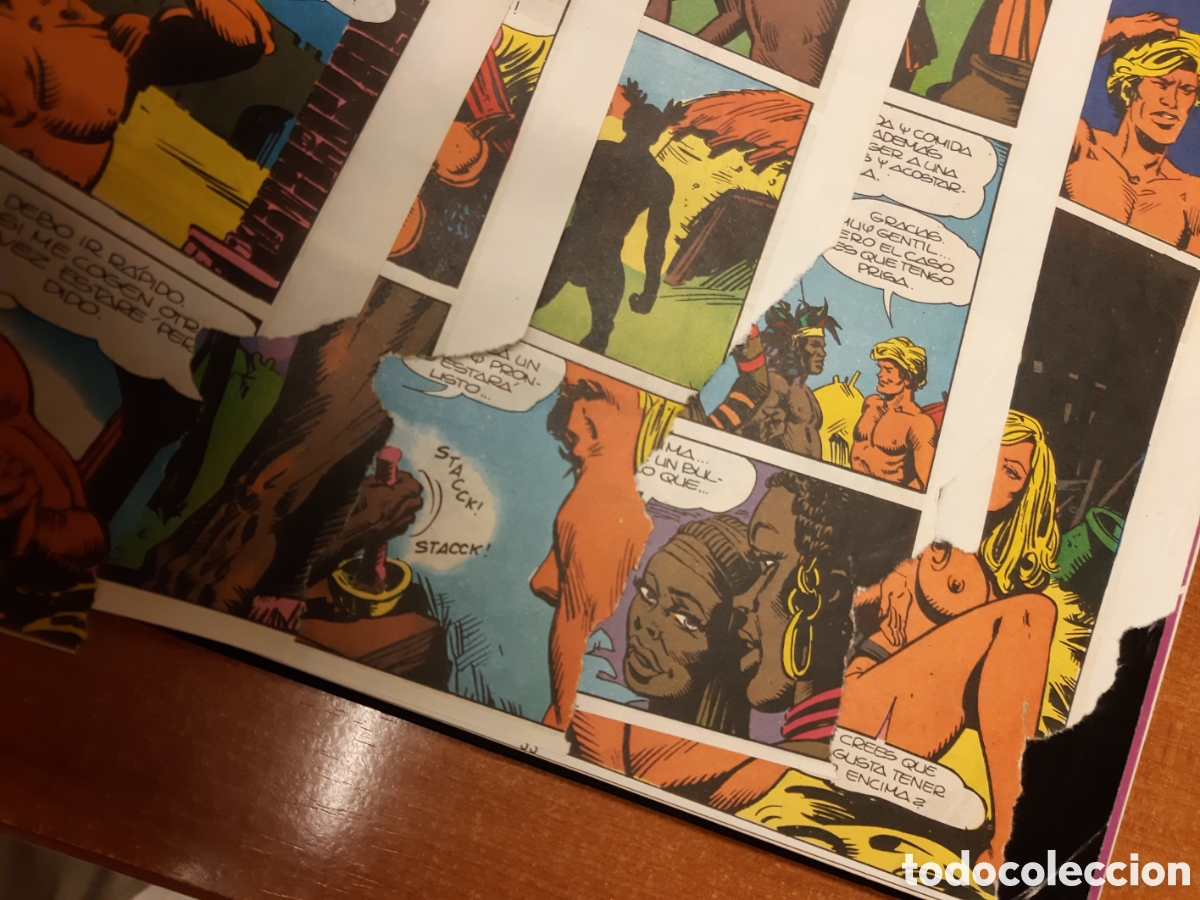 C&oacute;mics: Tarsan 1 al 29 completa encuadernada en dos tomos
