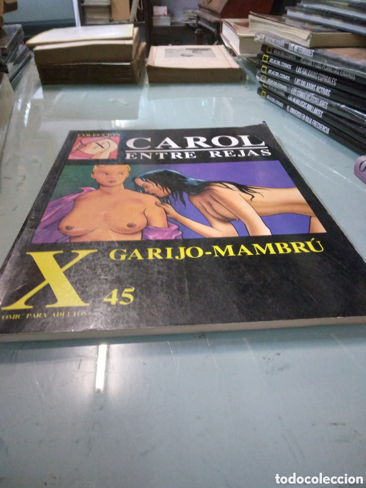 Comics: Carolina, entre rejas, X 45, Garijo Mambru