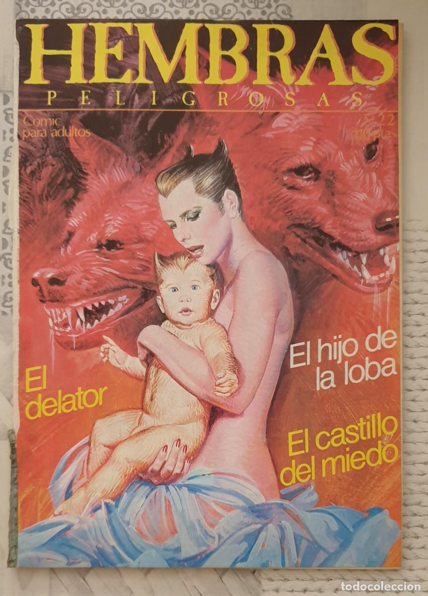 Comics: HEMBRAS PELIGROSAS N&ordm; 22. Ediciones Zinco 1985
