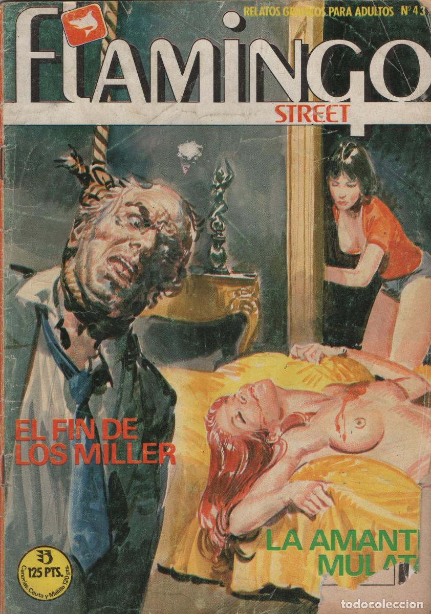 C&oacute;mics: Flamingo Street. Relatos gr&aacute;ficos para adultos. N&ordm;43. Ediciones Zinco. 1984.